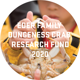 A child wearing a bright yellow raincoat holding up a Dungeness crab by it's claws. Text over the top says "Eder Family Dungeness Crab Research Fund 2020"