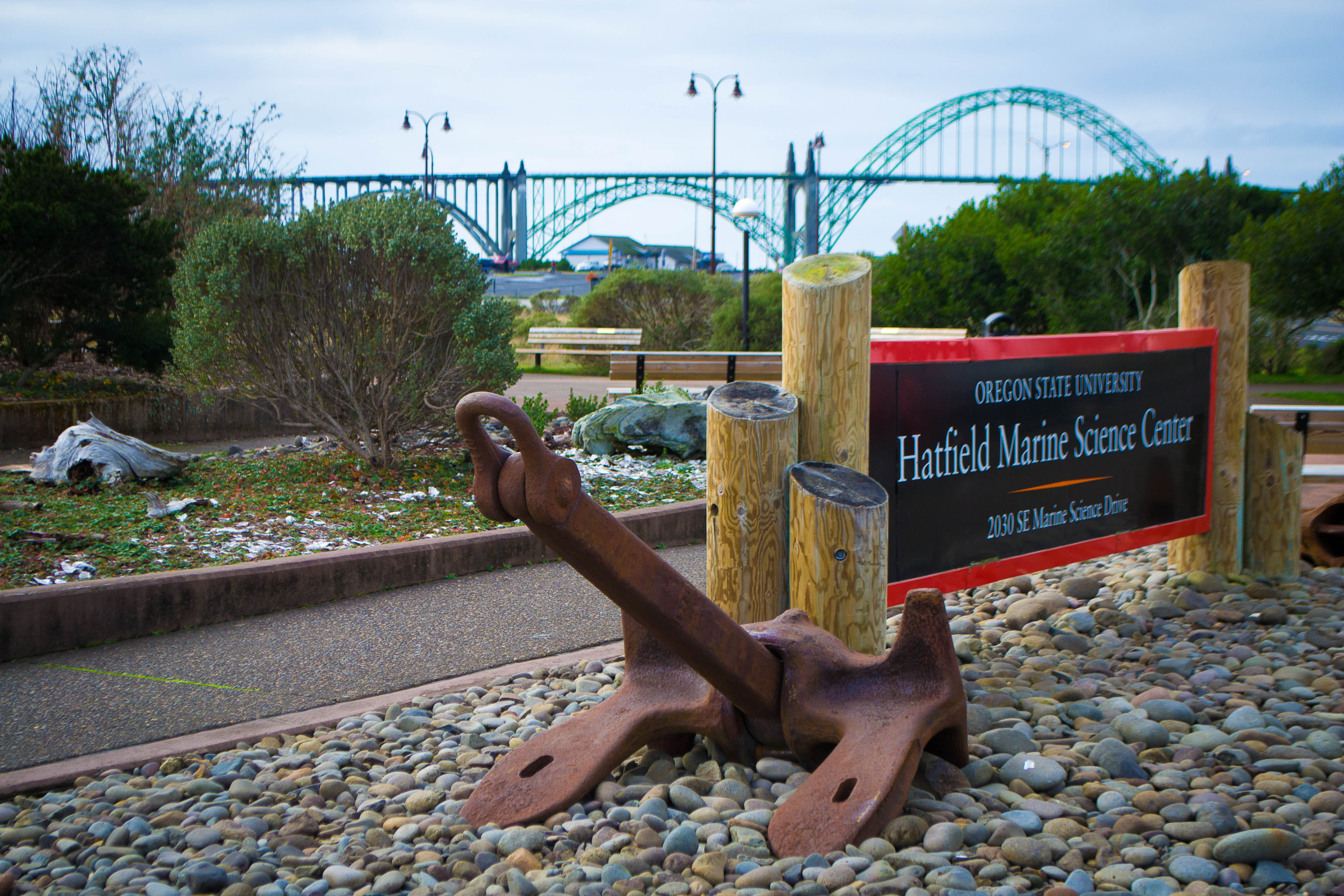 Hatfield Marine Science Center in front of Newport Bridge